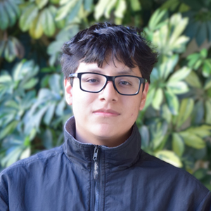 Fernando CHernandez-web