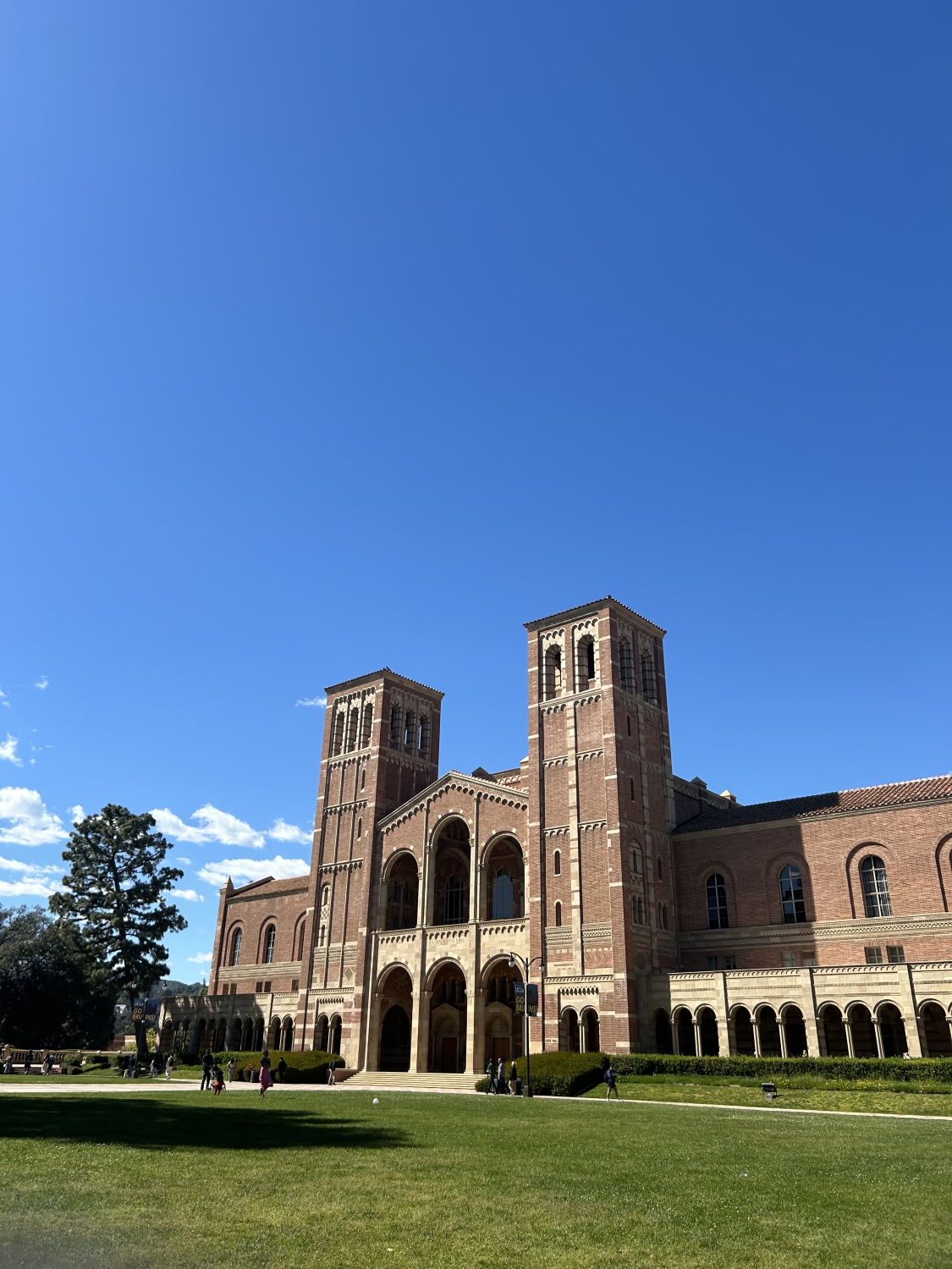 My International Student Experience - by Eduarda Moreira Cordeiro Gomes ...