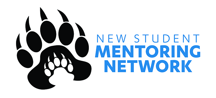 NSMN Logo